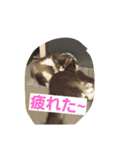 mokihime（個別スタンプ：3）