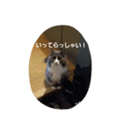 mokihime（個別スタンプ：4）