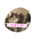 mokihime（個別スタンプ：5）