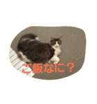 mokihime（個別スタンプ：8）