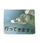mokihime（個別スタンプ：9）