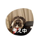 mokihime（個別スタンプ：10）