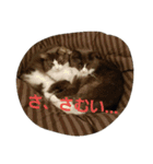 mokihime（個別スタンプ：11）