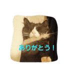 mokihime（個別スタンプ：14）