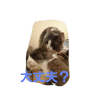mokihime（個別スタンプ：16）