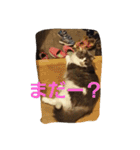 mokihime（個別スタンプ：19）