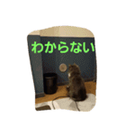 mokihime（個別スタンプ：20）