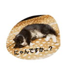 mokihime（個別スタンプ：23）