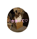 mokihime（個別スタンプ：24）