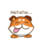 Little Shiba - English Version（個別スタンプ：7）