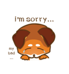 Little Shiba - English Version（個別スタンプ：11）