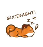 Little Shiba - English Version（個別スタンプ：13）