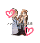 noanomainichi（個別スタンプ：5）
