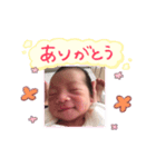haluto-kun（個別スタンプ：3）