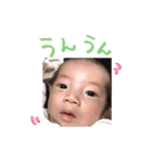 haluto-kun（個別スタンプ：8）