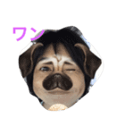 くーちゃんすたんぷ（個別スタンプ：16）
