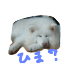 mofumofu.akitainu（個別スタンプ：3）