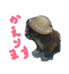 mofumofu.akitainu（個別スタンプ：5）