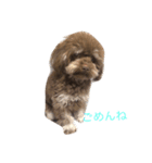 くぅちゃん♡（個別スタンプ：1）