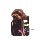 くぅちゃん♡（個別スタンプ：3）