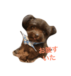 くぅちゃん♡（個別スタンプ：4）
