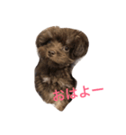 くぅちゃん♡（個別スタンプ：6）