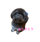 くぅちゃん♡（個別スタンプ：8）
