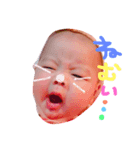陽菜実（個別スタンプ：4）