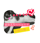 きらぷうスタンプフォー（個別スタンプ：6）