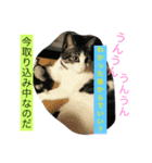 きらぷうスタンプフォー（個別スタンプ：7）