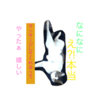 きらぷうスタンプフォー（個別スタンプ：8）
