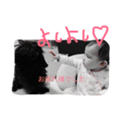 A S A H I（個別スタンプ：8）