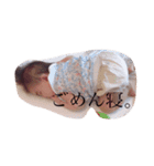 さえの専用スタンプ（個別スタンプ：6）