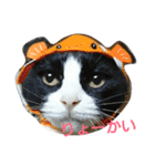 リンとフク（個別スタンプ：3）