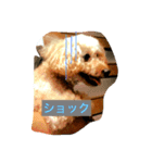 りんちゃん・もこちゃん（個別スタンプ：4）
