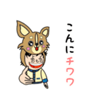 犬のダジャレを言う与野さん（個別スタンプ：19）