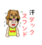 犬のダジャレを言う千野さん（個別スタンプ：8）