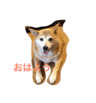 グティとカレンのハッピーライフ（個別スタンプ：21）
