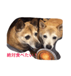 グティとカレンのハッピーライフ（個別スタンプ：22）