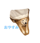 グティとカレンのハッピーライフ（個別スタンプ：23）