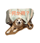 グティとカレンのハッピーライフ（個別スタンプ：24）
