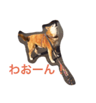 グティとカレンのハッピーライフ（個別スタンプ：25）