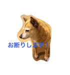 グティとカレンのハッピーライフ（個別スタンプ：27）
