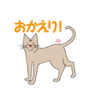 【すふゃや】猫の店長と店員がいるお店（個別スタンプ：5）