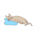 【すふゃや】猫の店長と店員がいるお店（個別スタンプ：14）