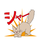 【すふゃや】猫の店長と店員がいるお店（個別スタンプ：15）