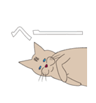 【すふゃや】猫の店長と店員がいるお店（個別スタンプ：23）