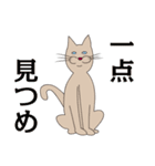 【すふゃや】猫の店長と店員がいるお店（個別スタンプ：24）