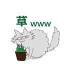 【すふゃや】猫の店長と店員がいるお店（個別スタンプ：28）