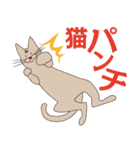 【すふゃや】猫の店長と店員がいるお店（個別スタンプ：31）
